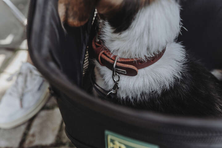 HUNTER Flugtasche und Rucksack Miles